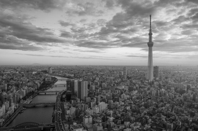okyo Cityscape with Tokyo Sky Tree visible in Tokyo city, Japan on sunrise.