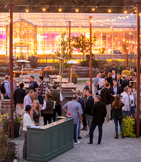 人々が近代的な温室の近くの屋外の電飾の下に集まり、くつろいだ雰囲気の中で会話を交わしたり交流したりしています。.