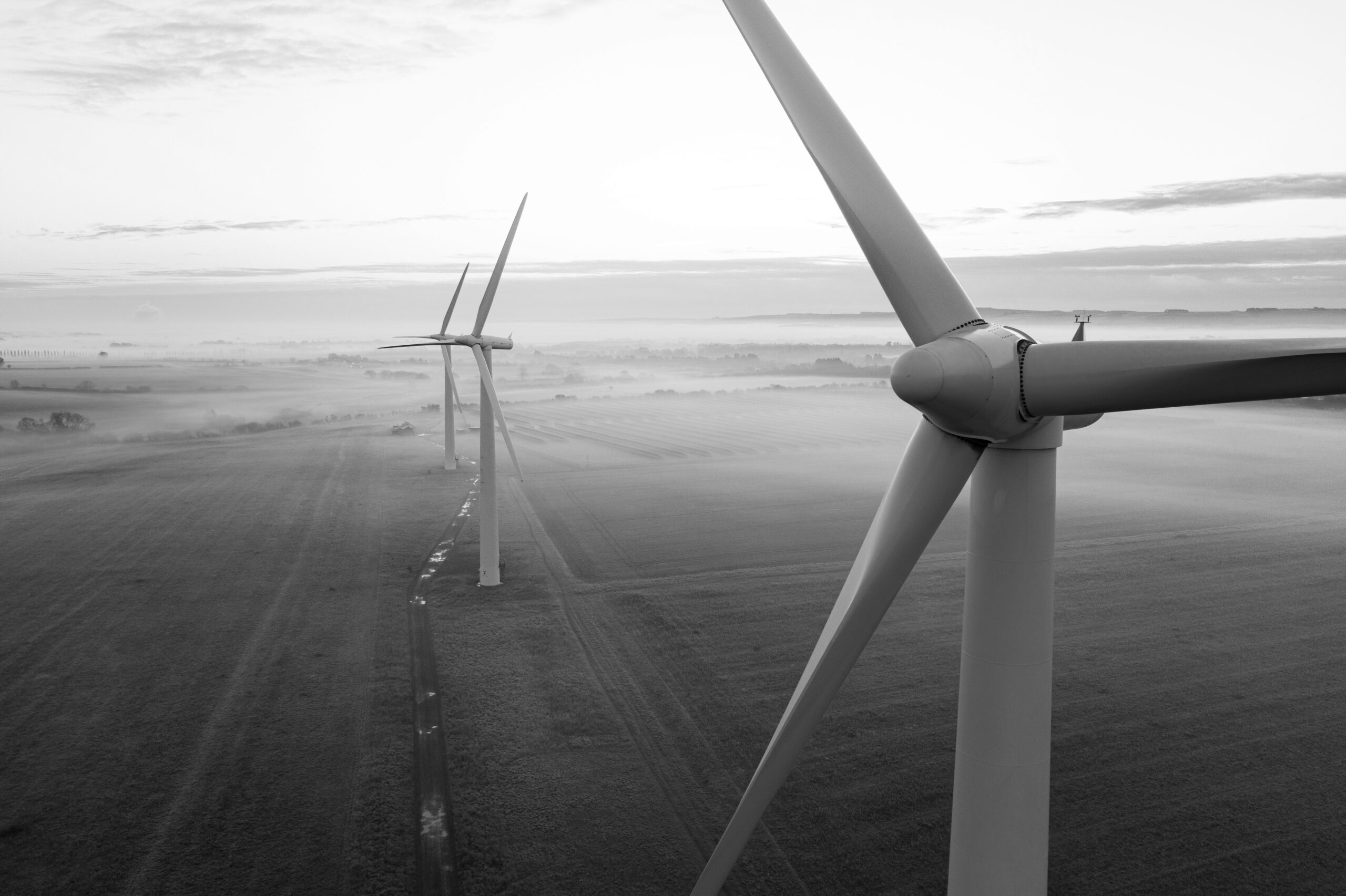 A row of wind turbines stands in an open field with a road running alongside, under a cloudy sky in the early morning.