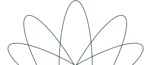 A simple line drawing of five overlapping ovals arranged symmetrically, resembling a flower or abstract geometric design, on a light background.